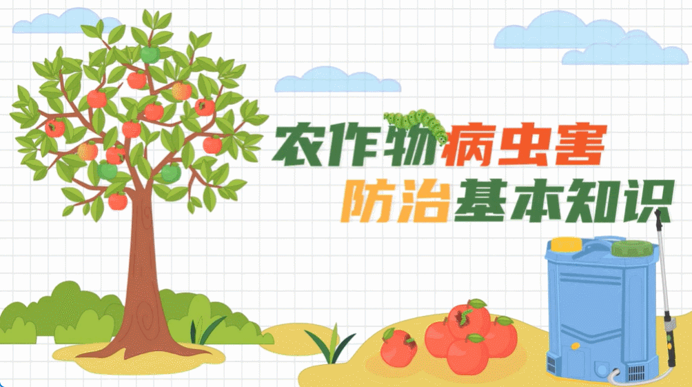 零基础也能上手!我总结的“自学动画制作的方法”,真的太香了!图片