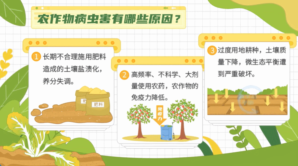 零基础也能上手!我总结的“自学动画制作的方法”,真的太香了!图片