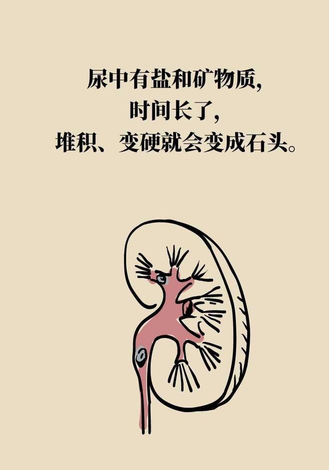 科普动画视频怎么制作