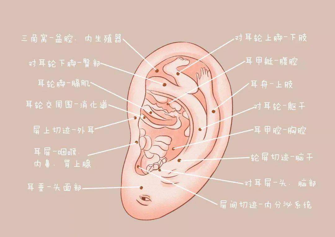 在线动画短视频制作工具